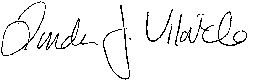 LJV SIGNATURE